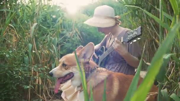 жінка з собакою на природі
 - Кадри, відео
