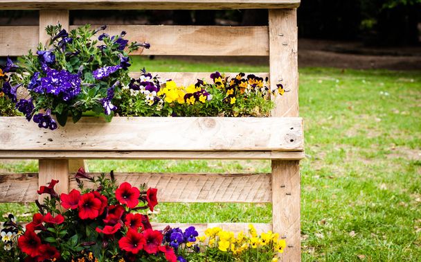 primavera flores coloridas e plantas em um suporte de madeira
 - Foto, Imagem