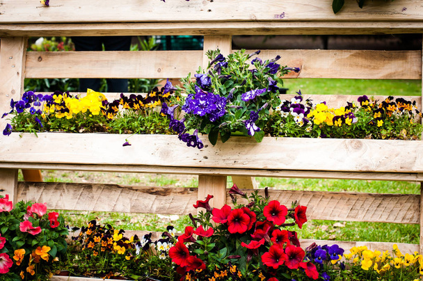 spring colored flowers and plants on a wooden support - Photo, Image