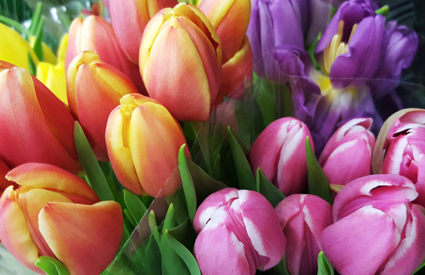 bunte Sträuße aus Tulpen  - Foto, Bild
