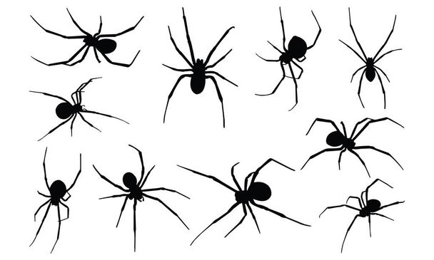 schwarze Witwe Spinne Silhouette Vektor Illustration - Vektor, Bild