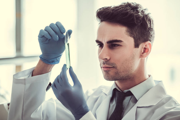 Handsome doctor in laboratory - Photo, Image