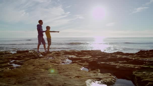Broers zijn genieten van een prachtig uitzicht op een kust - Video