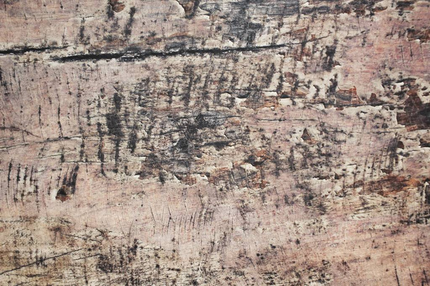 Close up of wood background - Foto, imagen