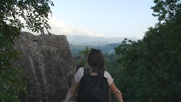 Jonge vrouwelijke wandelaar met rugzak bereiken op de top van de berg en verhoogde handen. Vrouw toeristische staan aan de rand van prachtige canyon, overwinnend uitdijende armen omhoog. Slow motion achterzijde terug bekijken - Video