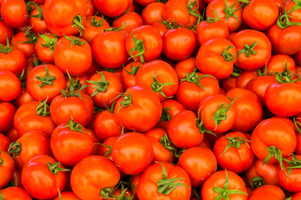 Groupe de tomates rouges - Photo, image