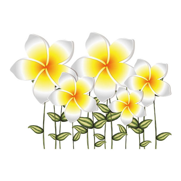 茎と葉の白いウスベニアオイ花の水彩画シルエット セット - ベクター画像