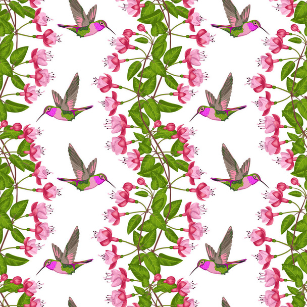 Fuchsia and Hummingbird Seamless Pattern - Vector, Image