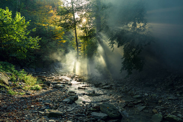 The sun's rays make their way through the morning mist against the backdrop of a mountain river and a forest. Picturesque forest landscape. - Zdjęcie, obraz