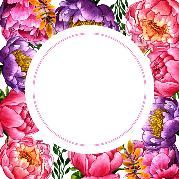 Wildflower peony flower frame in a watercolor style isolated. - Фото, зображення