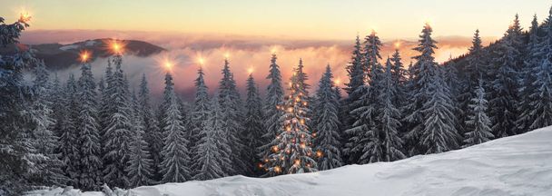 frosty sunrise in Carpathians - Foto, Bild