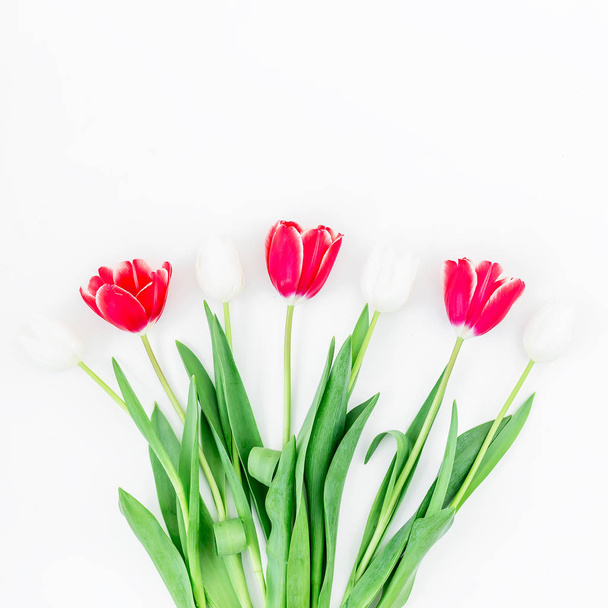 Нежные цветы тюльпана
 - Фото, изображение