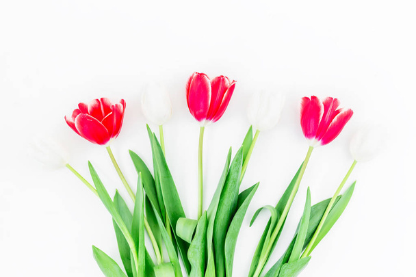 Flores de tulipán tiernas
 - Foto, imagen