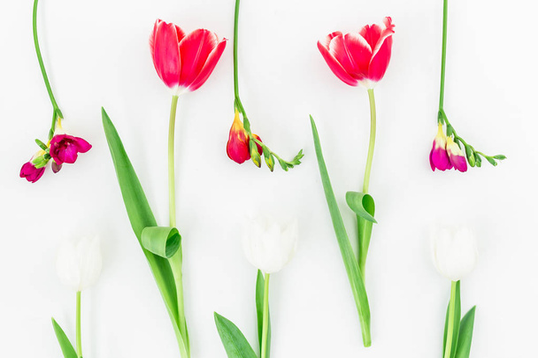 Tender flower tulips pattern - 写真・画像