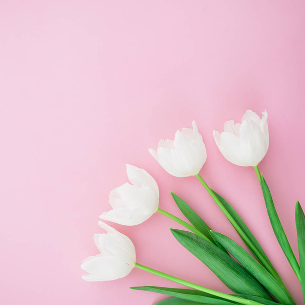Fiori di tulipano teneri
 - Foto, immagini