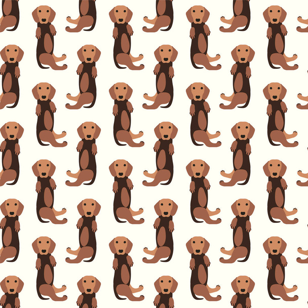 Seamless pattern - dachshund dog - Вектор,изображение