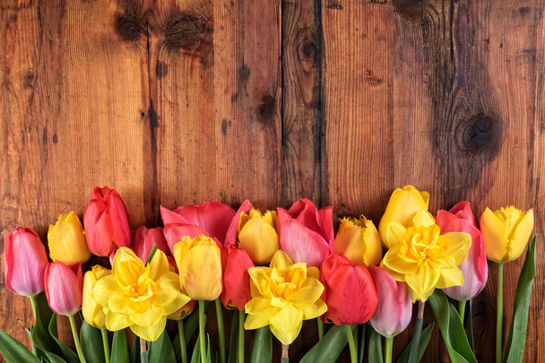 Bright flowers in row on dark wooden background with copy space - Valokuva, kuva
