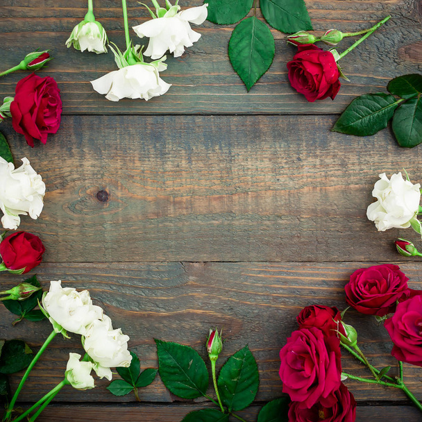 heldere rode en witte rozen - Foto, afbeelding