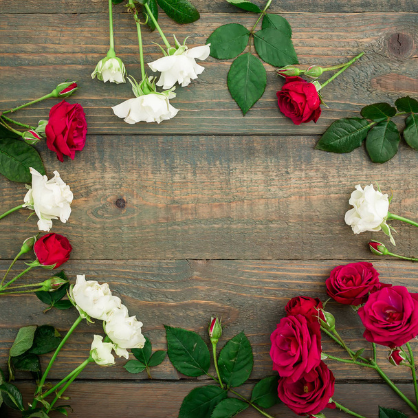 parlak kırmızı ve beyaz güller - Fotoğraf, Görsel