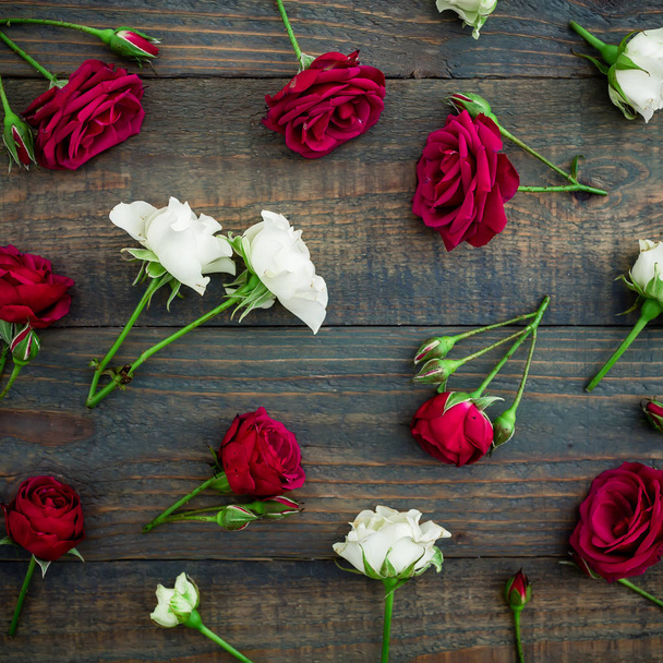 яскраві червоні та білі троянди
 - Фото, зображення