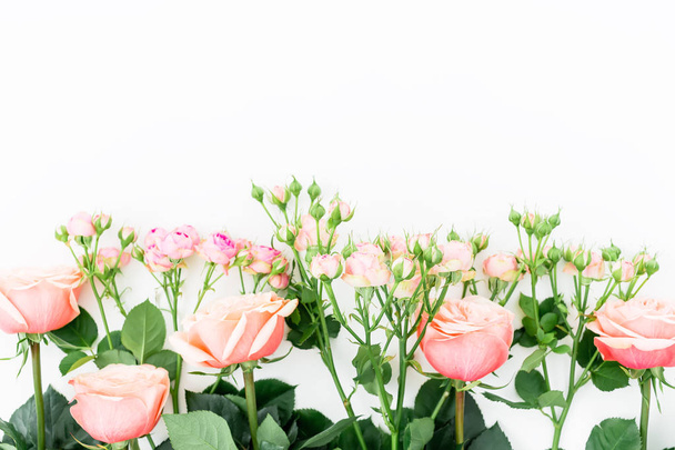 rosa Rosen auf weiß - Foto, Bild