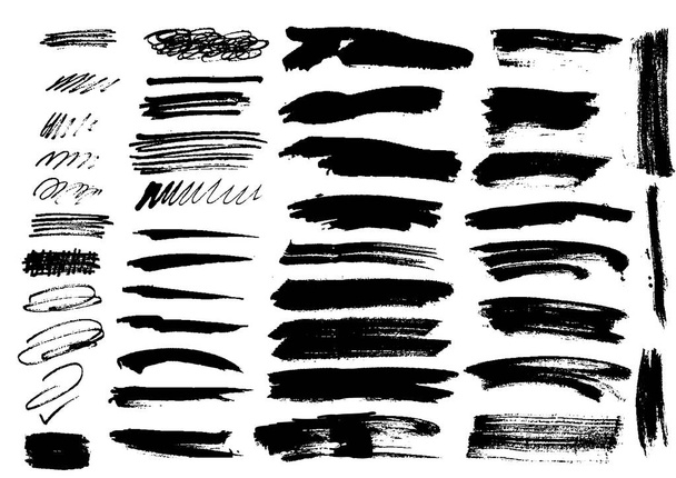 detail brush paint stroke collection. vector - Vector, Image