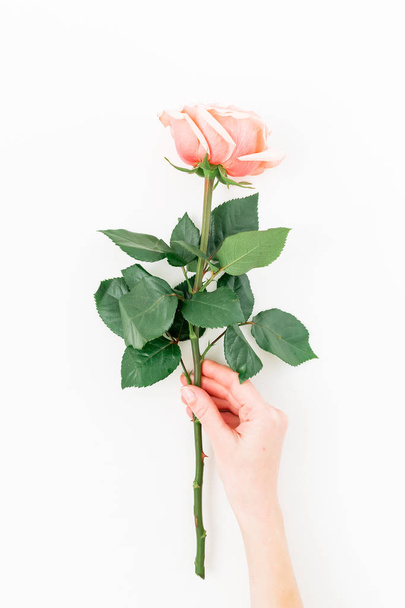 Розовая роза в руке девушки
 - Фото, изображение