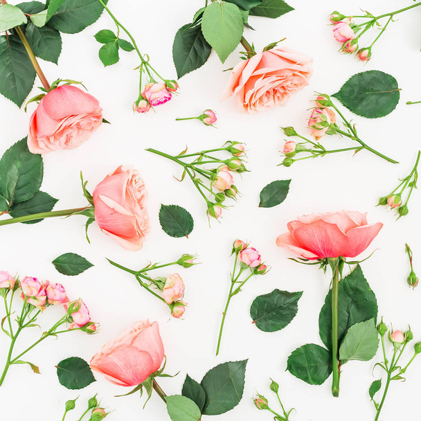 Rose rosa su bianco
 - Foto, immagini