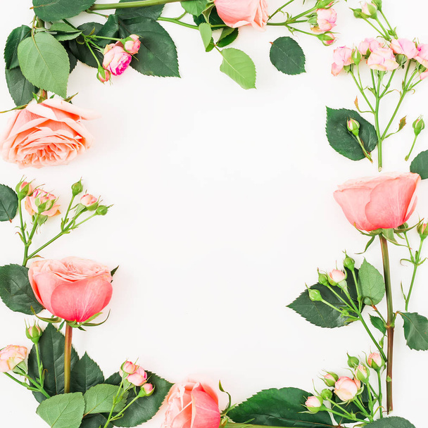 Rosas rosadas sobre blanco
 - Foto, imagen