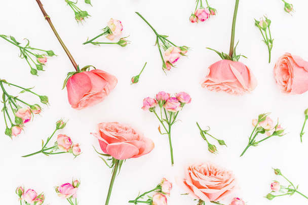 pink roses on white - Photo, Image