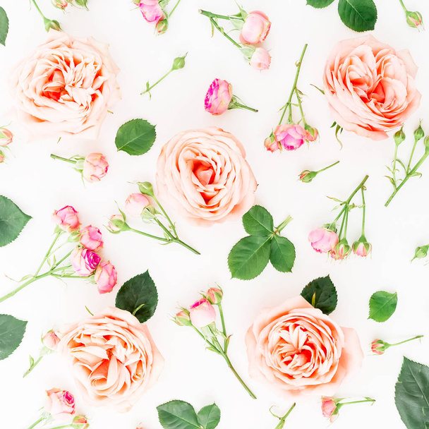 pink roses on white - Fotoğraf, Görsel