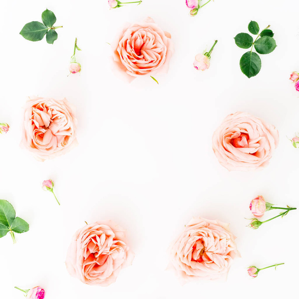 pink roses on white - Fotó, kép