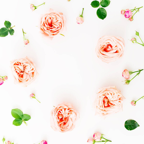 Rosas rosadas sobre blanco
 - Foto, imagen