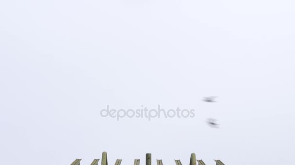 Ptaki latające nad stare radzieckie wojskowe rakiety. - Materiał filmowy, wideo