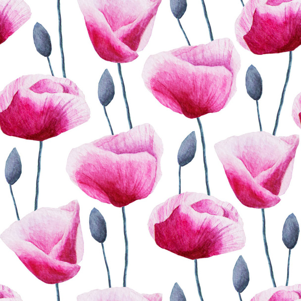 Seamless pattern with watercolor poppy flowers and buds on white - Foto, Bild