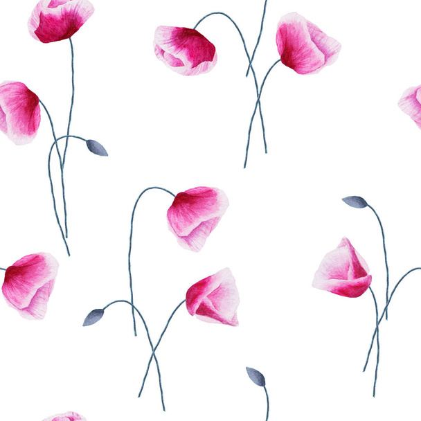 Seamless pattern with watercolor poppy flowers and buds on white - 写真・画像
