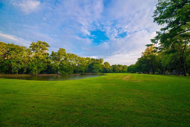 Zöld rét, fa központi állami park - Fotó, kép
