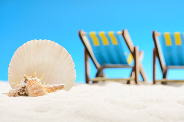 Seashell and two sunbeds at the beach on background of blue sky - Photo, Image