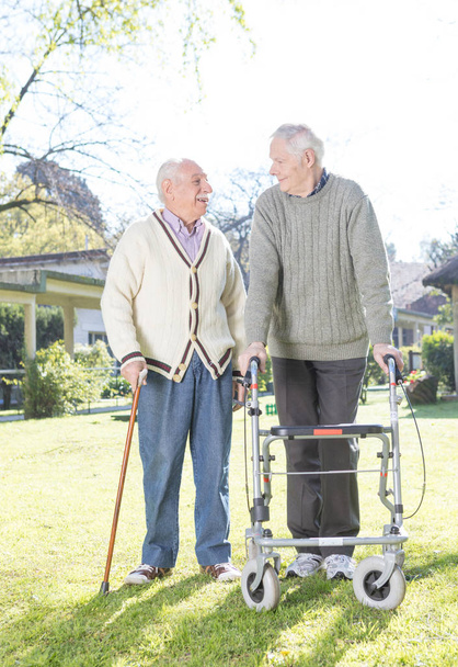 Couple of elderly friends in the garden - Φωτογραφία, εικόνα