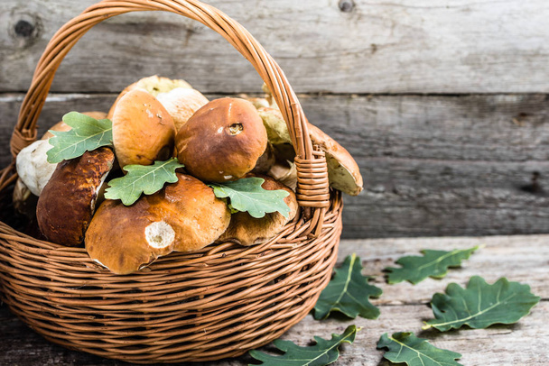 Fresh mushrooms in basket, boletus from forest on rustic table - Foto, afbeelding