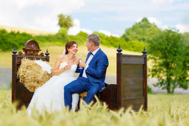 Pareja feliz boda en campo de trigo
 - Foto, Imagen