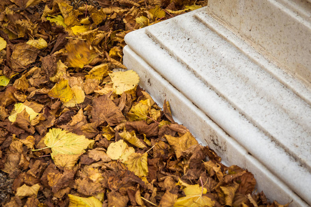 Stone plint omgeven door gele herfst bladeren. - Foto, afbeelding
