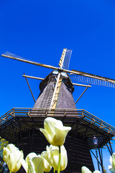 Wassermühle in der holländischen Landschaft - Foto, Bild