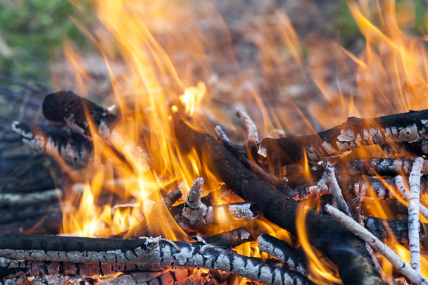 Zblízka teplé hořící oheň dřevo uhlí - Fotografie, Obrázek
