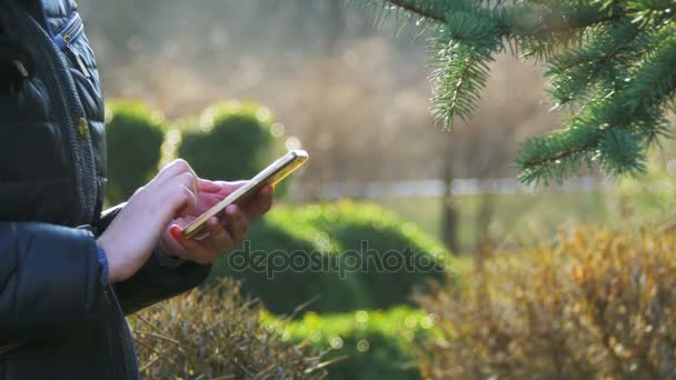Γυναίκα χέρια χρησιμοποιούν smartphone και περιηγηθείτε σε ιστοσελίδα κοινωνικής δικτύωσης πρόσωπο βιβλίο, πληκτρολογώντας το μήνυμα - Πλάνα, βίντεο