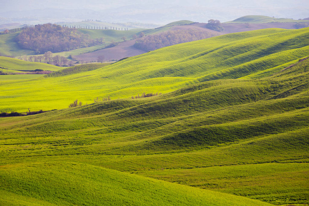 typische toskanische Landschaft - grüne Wellen  - Foto, Bild