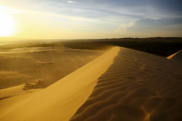 Sand dunes in the desert  - Zdjęcie, obraz