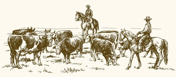 Cattle drive by two cowboys, hand drawn vector illustration. - Vector, Image