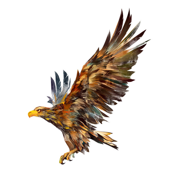 Isolated drawing of a flying eagle on the side - 写真・画像