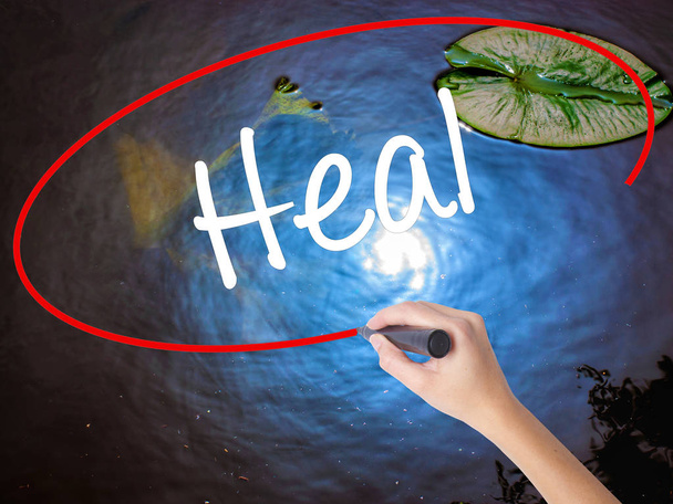 Woman Hand Writing  Heal  with marker over transparent board - Photo, Image